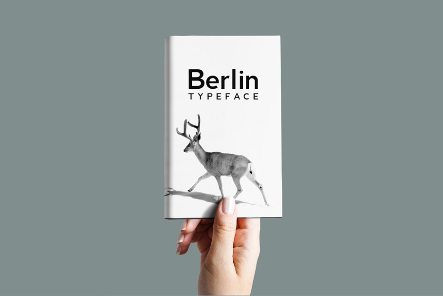 Berlin Font preview